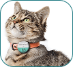 Purrtrieve GPS Pet Tracker (Green)