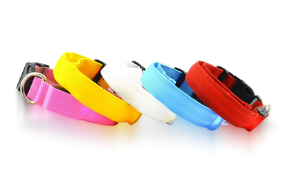 Furtrieve Pro Collar