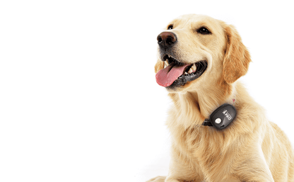 Furtrieve Pro GPS Pet Tracker (Black)