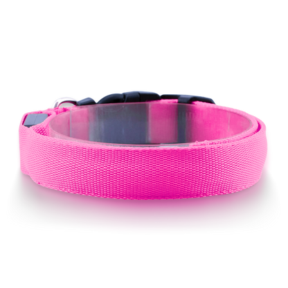 Furtrieve Pro Collar