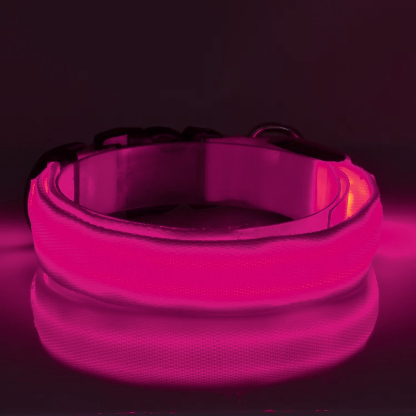 Furtrieve Pro Collar