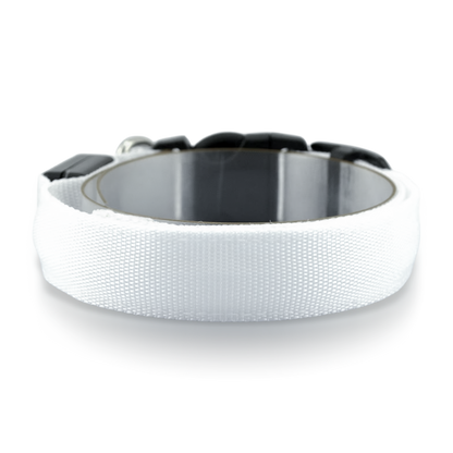 Furtrieve Pro Collar