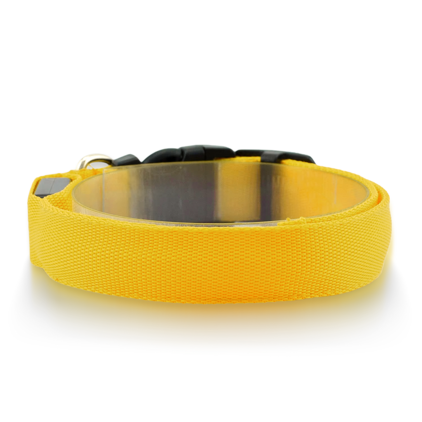 Furtrieve Pro Collar
