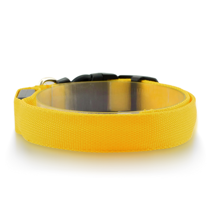 Furtrieve Pro Collar