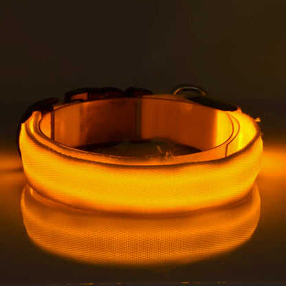 Furtrieve Pro Collar